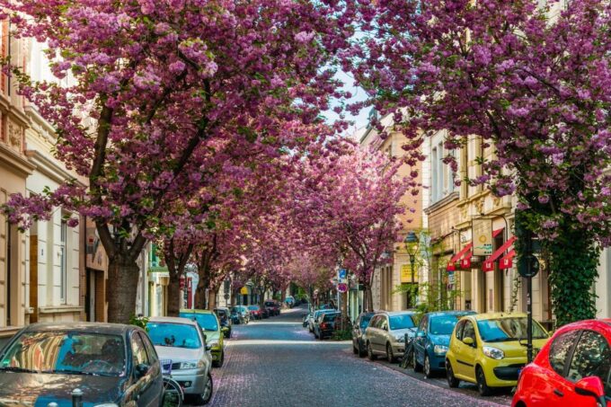 Beethoven and Bonn Highlights Tour From Cologne by Car - Scenic Walks Along the Rhine