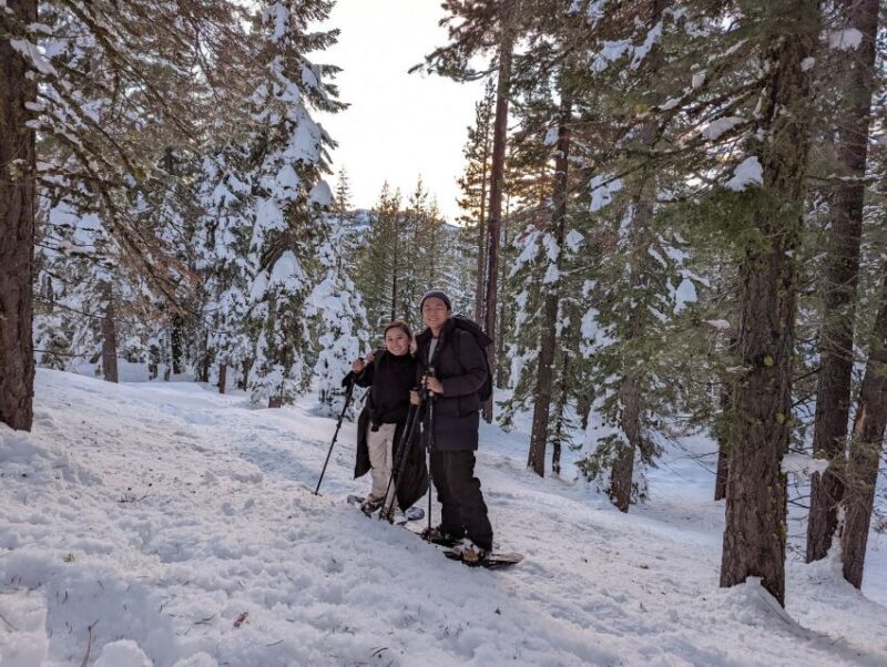 Beginner and Family Snowshoe Tour - Experience Highlights