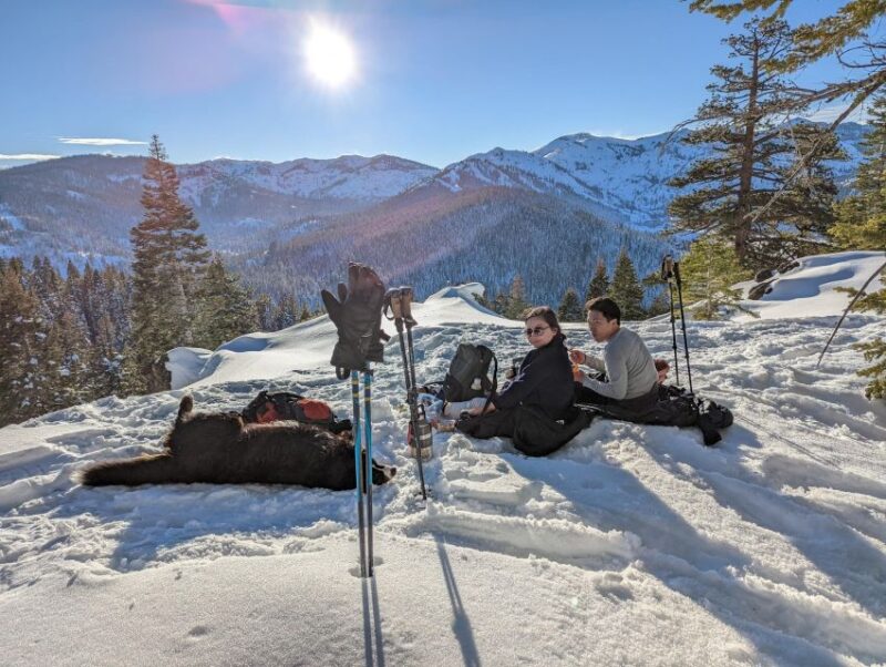 Beginner and Family Snowshoe Tour - Guided Adventure Through Tahoe National Forest