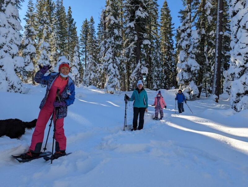 Beginner and Family Snowshoe Tour - Peaceful Meadows Blanketed in Snow