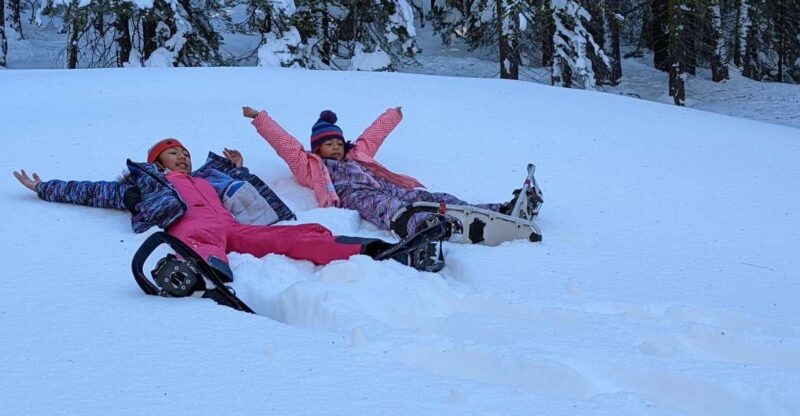 Beginner and Family Snowshoe Tour - Captivating Stories Shared by Guides