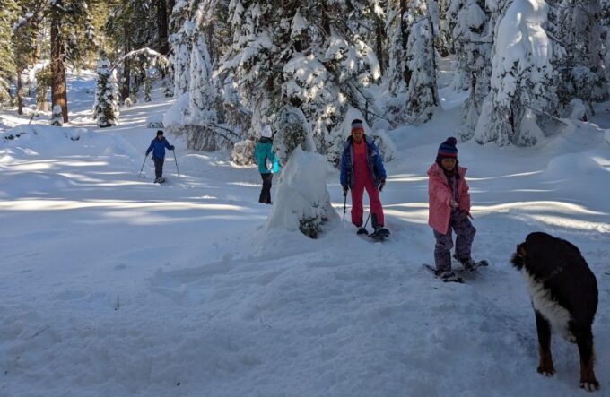 Beginner and Family Snowshoe Tour - Convenient Meeting Point and What to Bring