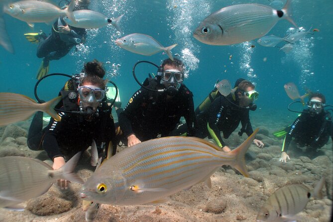 Beginner Dive From Playa Chica With Instructor - Cancellation Policy