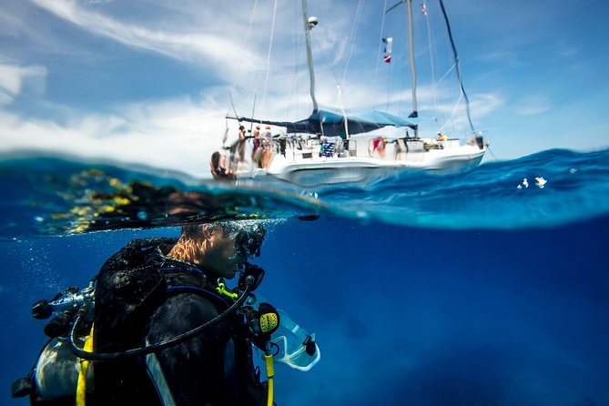 Beginner Diving Experience in Ligaria Bay - Key Points