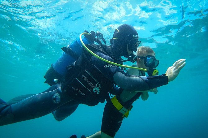 Beginner Diving Experience in Ligaria Bay - Meeting Point and Start Time