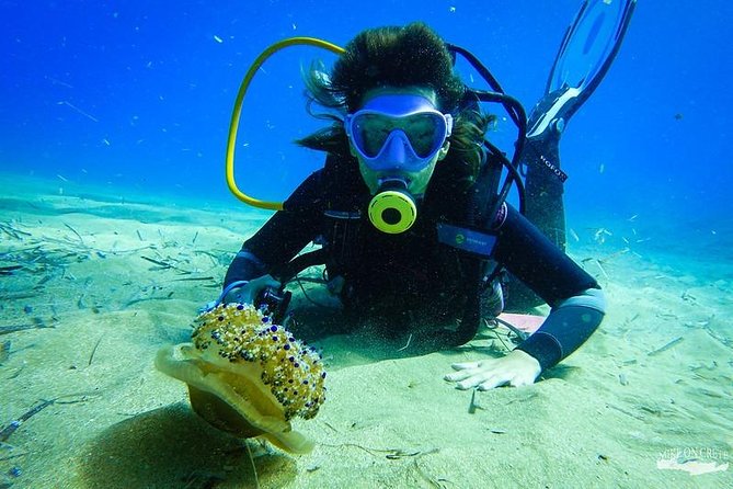 Beginner Diving Experience in Ligaria Bay - Participant Physical Condition