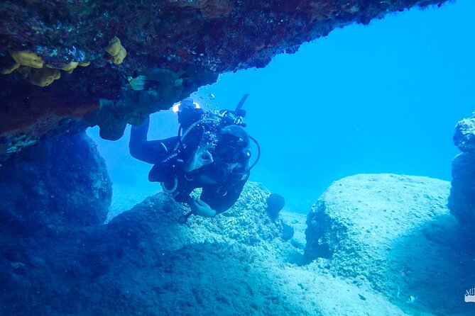 Beginner Diving Experience in Ligaria Bay - Customer Feedback and Ratings