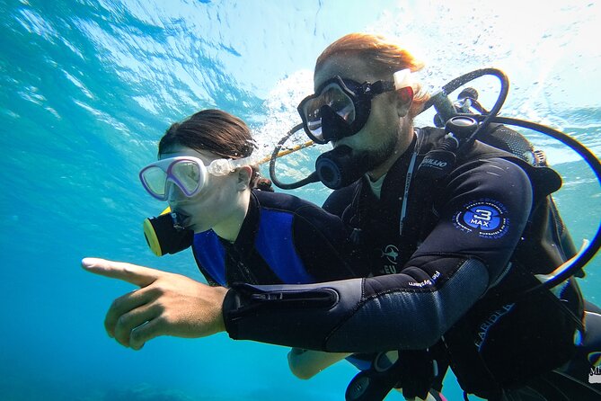 Beginner Diving Experience in Ligaria Bay - Similar Experiences and Comparisons
