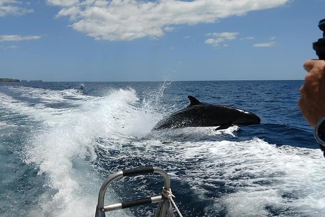 Beginner Diving Lesson (2 Days) With Two Tank Dives in Guanacaste - Tailored Instruction for First-Time Divers
