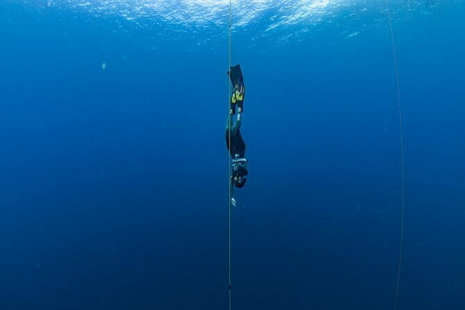 Beginner Freediving Course (with Bonus Session) - FAQs