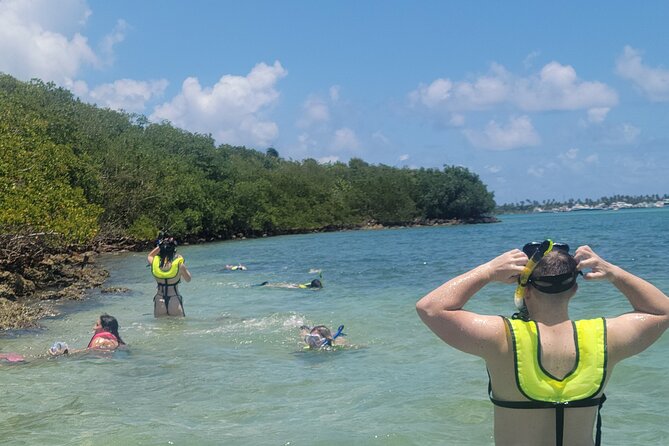 Beginner Friendly Island Snorkeling - Exploring the Underwater World