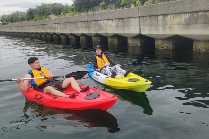 Beginner Friendly Stand Up Paddle Boarding Tour in Awaji Island - Meeting and Pickup