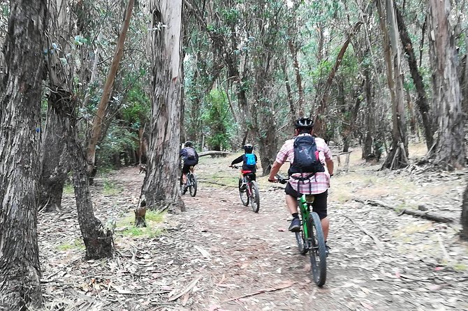 Beginner or Intermediate Mountain Bike Tour of Santa Barbara - Pickup and Drop-off