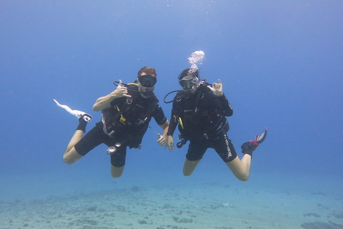 Beginner Scuba Dive in Kaanapali (Swimming Ability Required) - Meeting Point and Duration