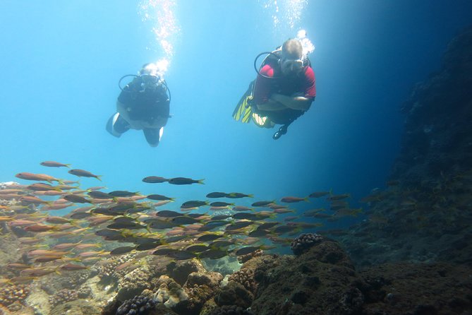 Beginner Scuba Dive in Kaanapali (Swimming Ability Required) - Post-Dive Reflection