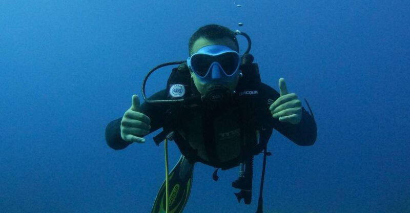 Beginner Scuba Dive With Scubapoint Tenerife in Turtle Area - Key Points