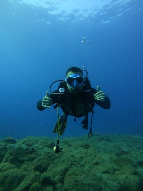 Beginner Scuba Dive With Scubapoint Tenerife in Turtle Area - Highlights