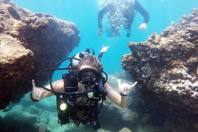 Beginner Scuba Diving Adventure With Videos in Honolulu - Meeting and Safety Information