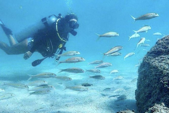 Beginner Scuba Diving Adventure With Videos in Honolulu - Gear Fitting and Safety
