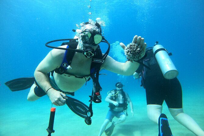 Beginner Scuba Diving Guided Tour - No Experience Required - Key Points