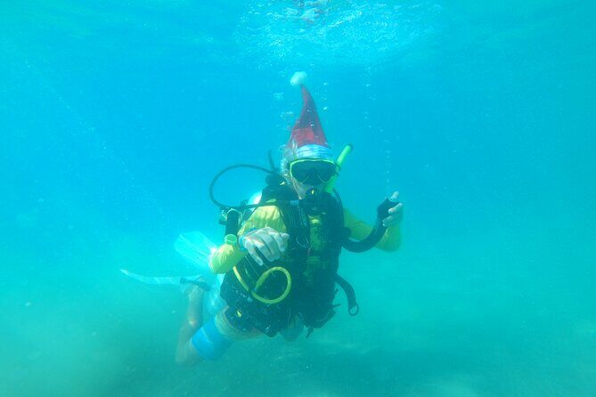 Beginner Scuba Diving Guided Tour - No Experience Required - Practical Details: Making the Most of Your Tour