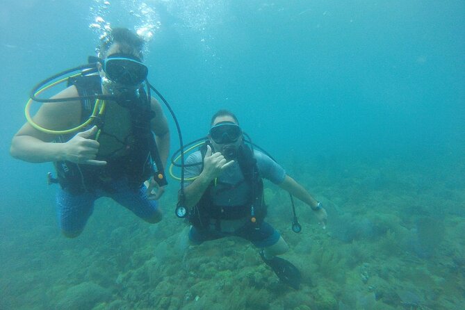 Beginner Scuba Diving Guided Tour - No Experience Required - Customer Reviews and Feedback