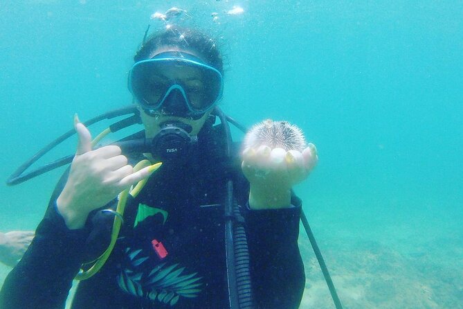 Beginner Scuba Diving Guided Tour - No Experience Required - Equipment and Certification