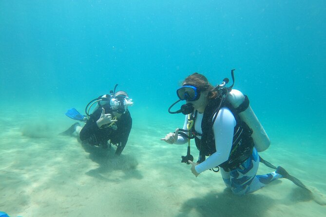 Beginner Scuba Diving Guided Tour - No Experience Required - Booking and Reservation Process