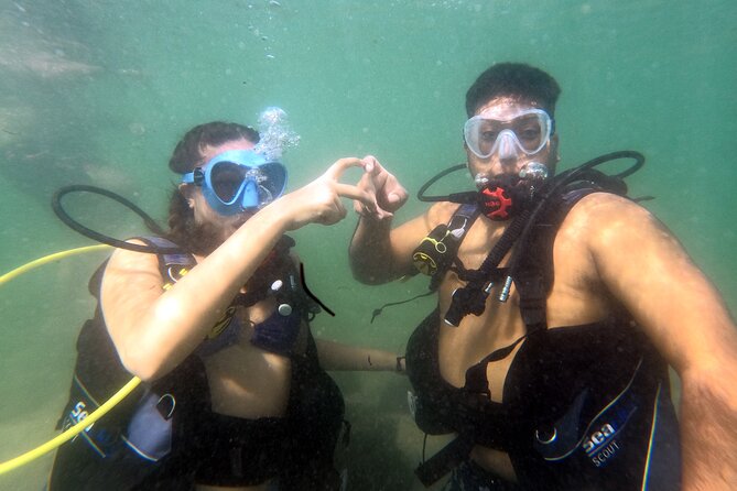 Beginner SCUBA Diving in Old San Juan - Highlights of the Dive