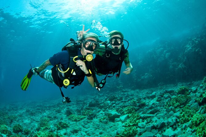 Beginner Scuba Diving Tour With Videos-Pcb - Key Tour Details