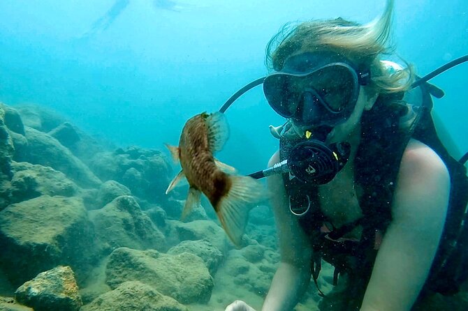 Beginner Scuba Diving Tour With Videos-Pcb - Transportation Options