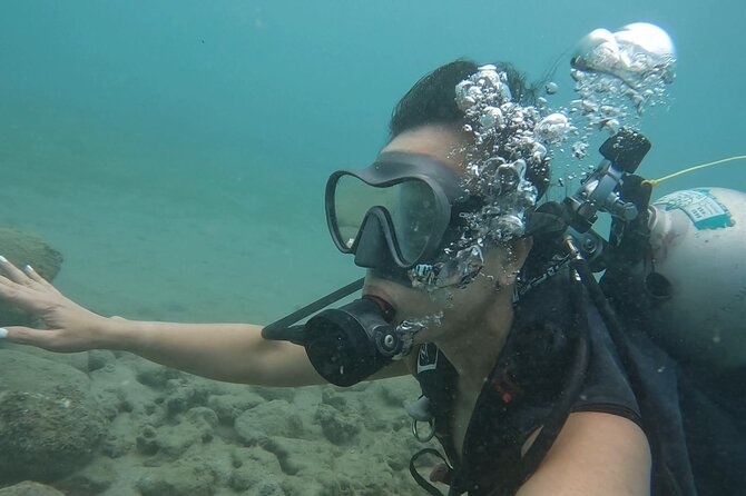 Beginner Scuba Diving Tour With Videos-Pcb - Group Size Limit