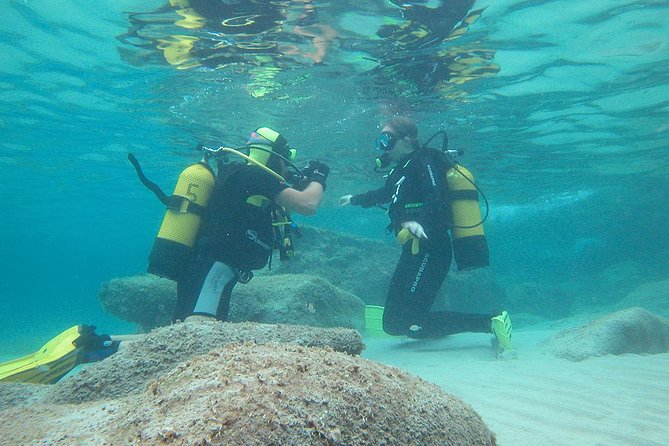 Beginners Diving in Santa Ponsa - Participant Requirements