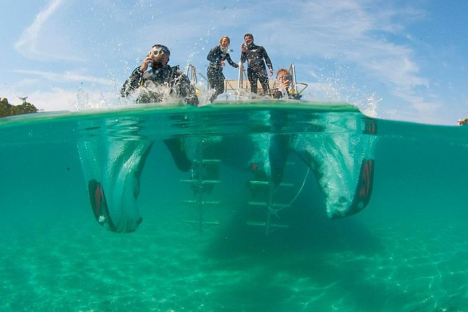Beginners Diving in Santa Ponsa - Getting There