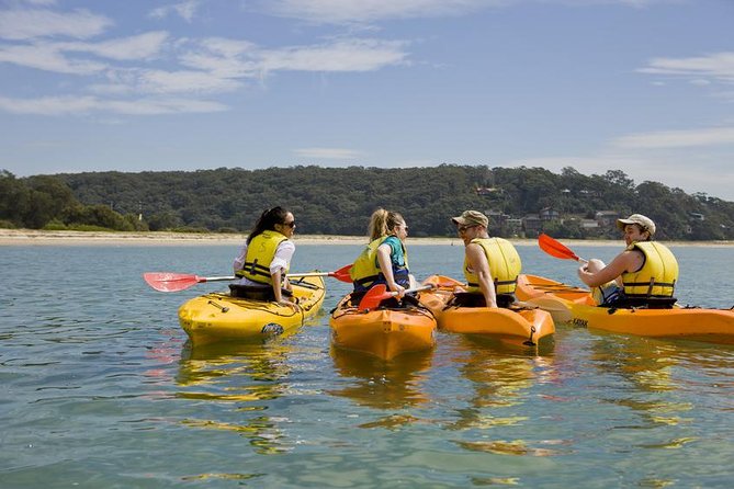 Beginners Kayak Tour in Sydney - Gorgeous Aussie Beaches and Bays - Kayaking Adventure Details