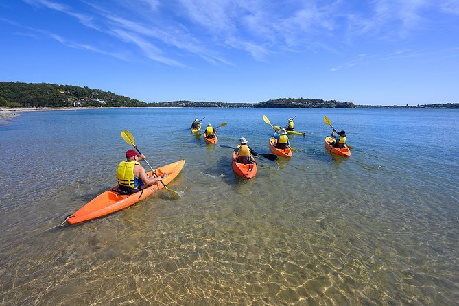 Beginners Kayak Tour in Sydney - Gorgeous Aussie Beaches and Bays - Participant Requirements and Fitness