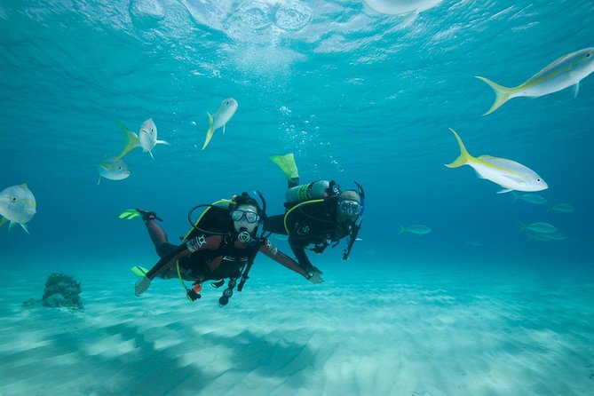 Beginners Scuba Diving Experience in Gran Canaria - Diving Location and Scenery