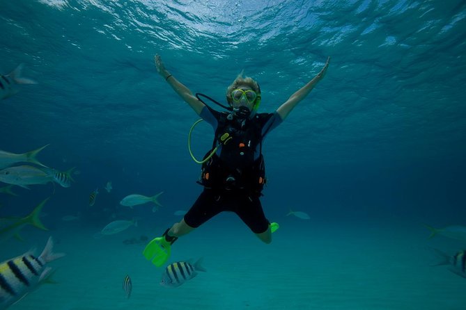 Beginners Scuba Diving Experience in Gran Canaria - Diving With a Professional