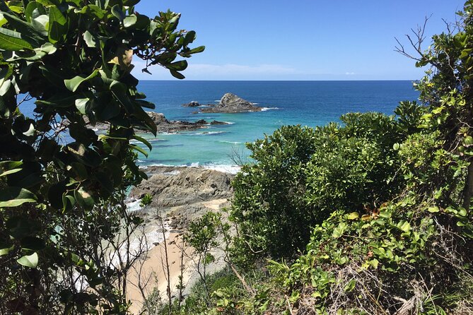 Behind The Bay - Explore Like a Local - Cool Off and Spot Turtles