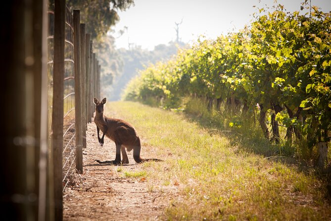 Behind the Scenes Tour With Food & Wine Pairing - Booking Information