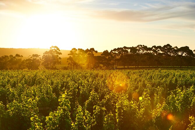 Behind the Scenes Tour With Food & Wine Pairing - Reviews