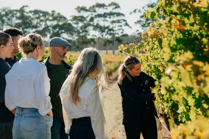 Behind the Scenes Tour With Food & Wine Pairing - Winerys Inner Workings