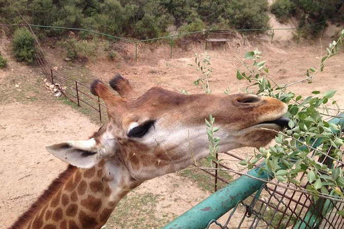 Beijing Badaling Wildlife Park & Juyongguan Great Wall Private Tour - Inclusions