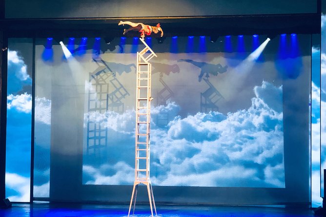 Beijing Chaoyang Acrobatics Show Booking - Group Size and Pricing