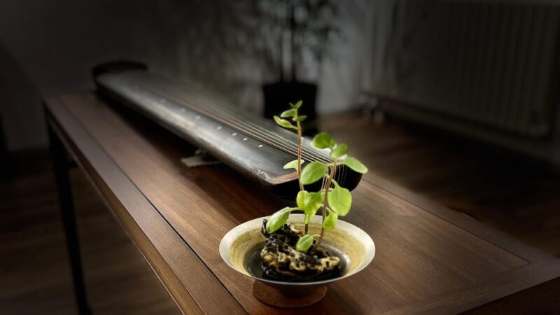 Beijing: Chinese Culture Tea Ceremony Reservation Service - Key Points