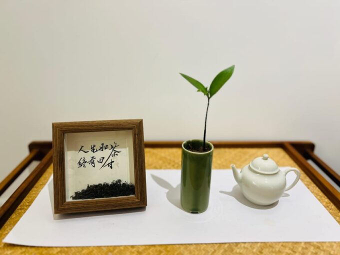 Beijing: Chinese Culture Tea Ceremony Reservation Service - Transportation and Accessibility