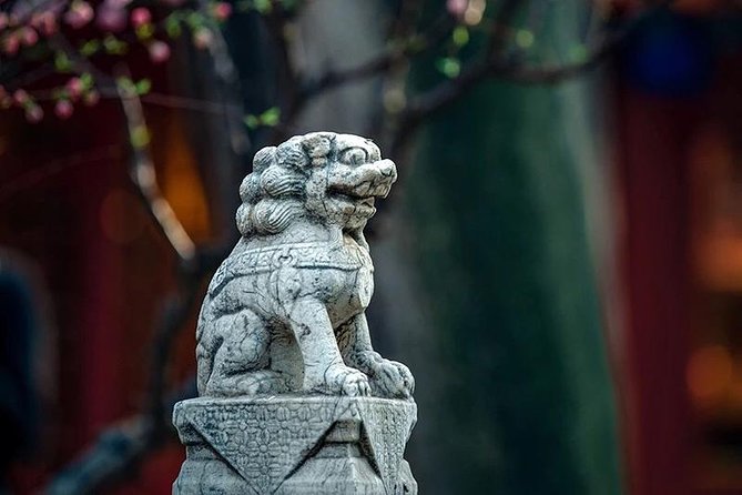 Beijing Half Day Walking Tour-Tiananmen Square and Forbidden City - Exploring the Forbidden City