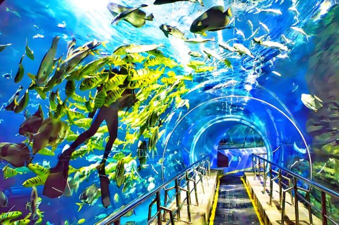 Beijing Highest Tower: CCTV Tower Observation With Meal - Confirmation and Entry Details