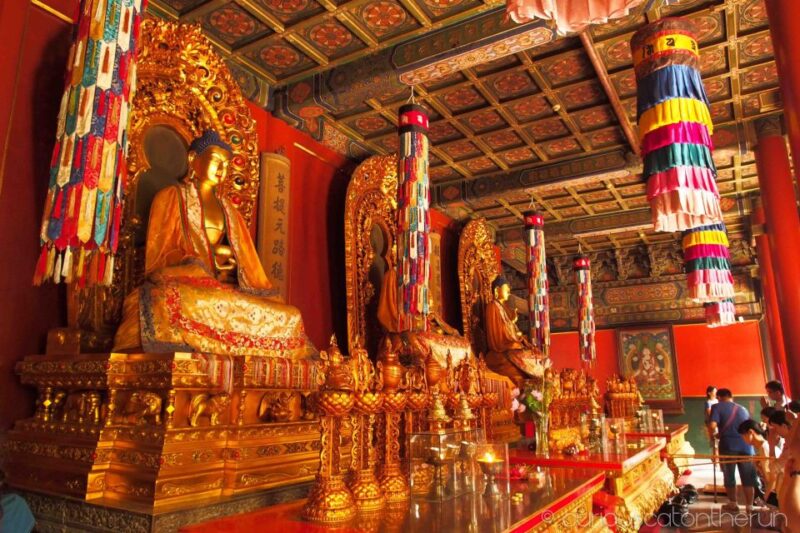 Beijing: Lama Temple, Confucius Temple and Guozijian Museum - Itinerary Details