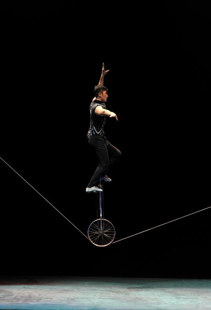 Beijing: Night Tour of Acrobatics Show Including Transfer - Experience Highlights